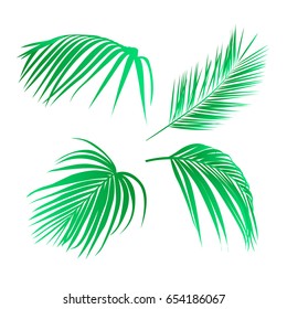 Set of tropical leaves. Palm leaves. Vector illustration with isolated design elements