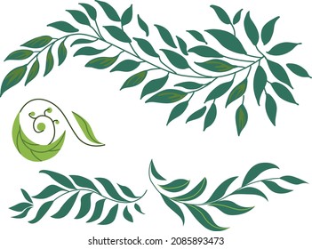 Conjunto de hojas y plantas tropicales. Ilustración de diseño plano