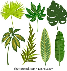Set of tropical leaves , plants. Ideal for scrapbooking, cards, invitations to parties, banners, posters, tags, stickers. Vector illustration