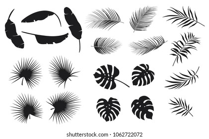 Set of tropical leaves plants on a white background