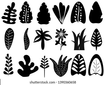 Set of tropical leaves and plants, vector	