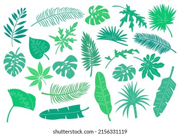 Set of tropical leaves and plants. Vector illustration.