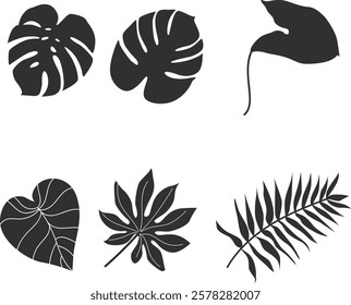 Set of tropical leaves silhouette illustration