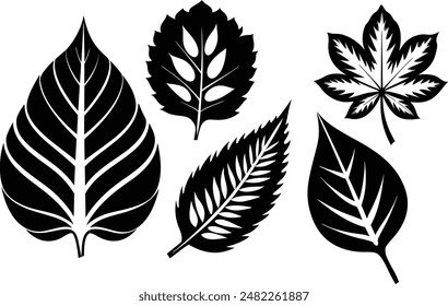 Set of tropical leaves with silhouette style vector