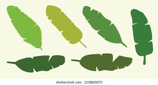 Set of tropical leaves in silhouettes. Banana tree. Tropical leaves. Banana leaves. Vector bundle. Leaves isolated on white. Green tropical. Hand drawn vector illustration.