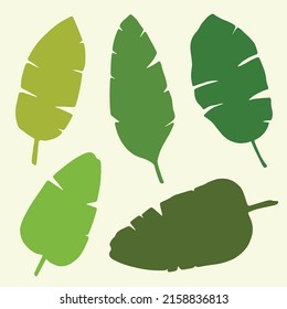Set of tropical leaves in silhouettes. Banana tree. Tropical leaves. Banana leaves. Vector bundle. Leaves isolated on white. Green tropical. Hand drawn vector illustration.