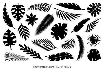 Set of tropical leaves silhouettes. Collection palm leaves. Jungle exotic leaves and botanical plants. Vector illustration.