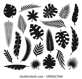 Set of tropical leaves silhouettes. Collection palm leaves. Jungle exotic leaves and botanical plants. Vector illustration.