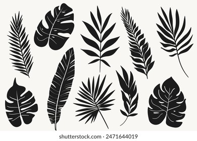 Set of tropical leaves silhouettes. Exotic jungle palm leaf silhouettes isolated on white background.