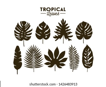 Set of tropical leaves silhouettes isolated on white background. Vector EPS10