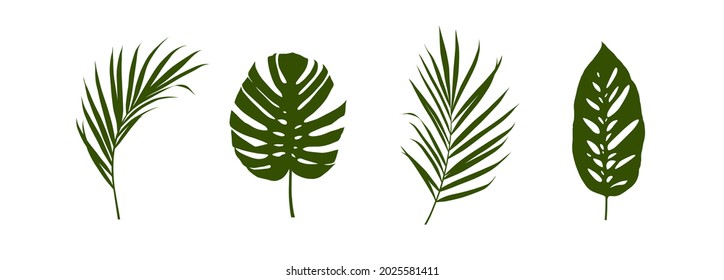 Set of tropical leaves silhouettes isolated on white background. Vector EPS10