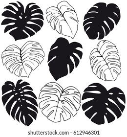 Set of tropical leaves silhouettes isolated on white background. Vector EPS10 