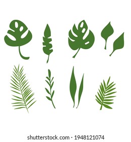 set of tropical leaves. simple flat illustration for creating your own design