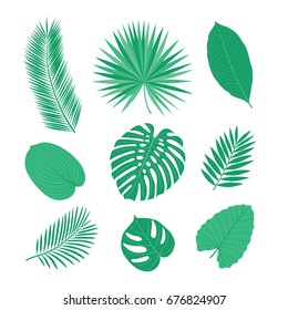 Set of tropical leaves. Sketch, floral elements for your design.  Vector illustration.