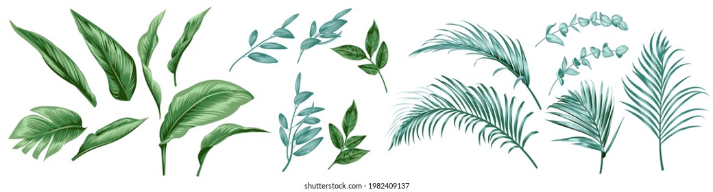 Set of tropical leaves for textile design and cards