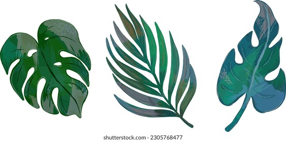 Set of tropical leaves, leaves with texture,. Elements for design	
