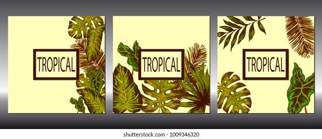 Set of tropical leaves. Vector.
