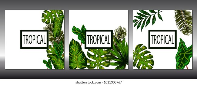 Set of tropical leaves. Vector.
 - Shutterstock ID 1011308767
