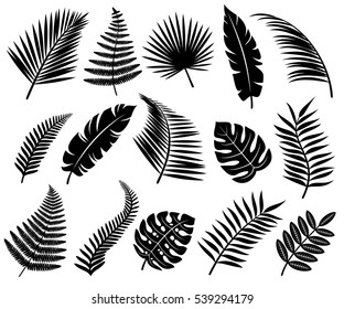 Set of tropical leaves. Vector