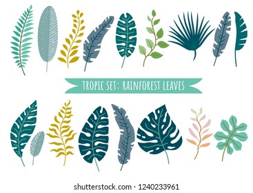 Set of tropical leaves. Vector cartoon rainforest leaves isolated on white background. Brazil jungle flora in flat style. Banana leaf, palm, fern, monstera, and other. Tropic plants