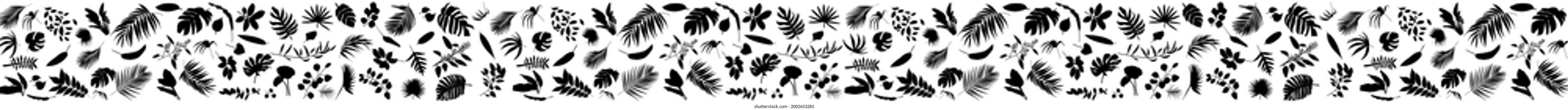 Conjunto de hojas tropicales. Ilustración vectorial de varios follajes negros aislados en blanco. Elemento de diseño para afiche, menú, volante, banner, menú, paquete.