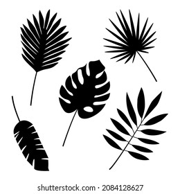 Set of tropical leaves. Vector illustration isolated on white background.