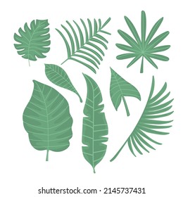 Conjunto de ilustraciones vectoriales de hojas tropicales. Decoración de verano de estilo plano. Hojas verdes exóticas. Diseño botánico. Aislado sobre fondo blanco.