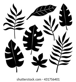 Set of tropical leaves vector illustration.