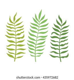 Set of tropical leaves vector illustration.