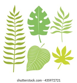 Set of tropical leaves vector illustration.