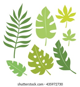 Set of tropical leaves vector illustration.