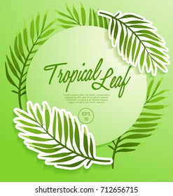 Set of Tropical Leaves : Vector Illustration