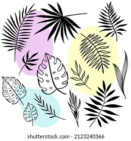 Set of tropical leaves. Vector line art elements. Abstract organic shapes background.