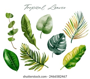 Set of tropical leaves. Watercolor exotic leaves. Palm leaves. Hand drawn floral collection. 