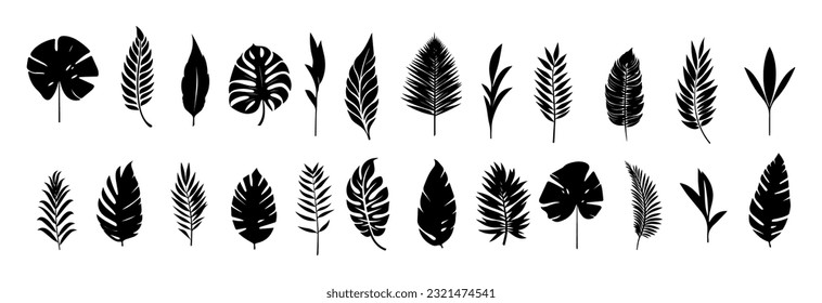 Set of tropical leaves.Collection of exotic palm leaves.Monstera leaf and banana leaves.Botanical plant collection.Leaf icon set.Jungle plant.