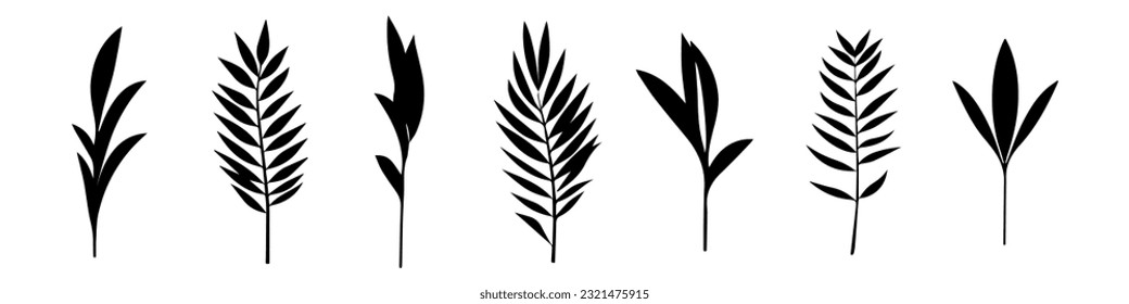 Set of tropical leaves.Collection of exotic palm leaves.Monstera leaf and banana leaves.Botanical plant collection.Leaf icon set.Jungle plant.Herbs.