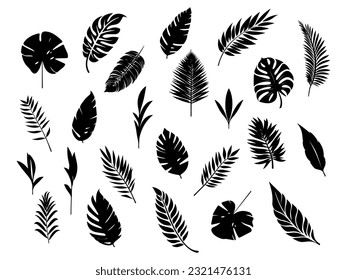 Set of tropical leaves.Collection of exotic palm leaves.Monstera leaf and banana leaves.Botanical plant collection.Leaf icon set.Jungle plant.