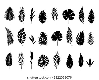 Set of tropical leaves.Collection of exotic palm leaves.Monstera leaf and banana leaves.Botanical plant collection.Leaf icon set.Jungle plant.