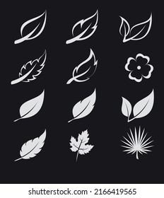 Set of tropical line art leaf.Collection of forest leaves from a tree.Plants for the design of postcards.Autumn leaf.Flat cute illustration leaf. Vector set plant on black background.Set icons of tree