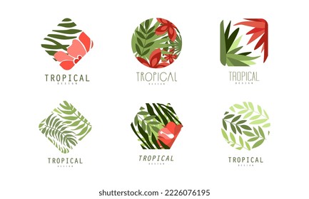 Set of tropical logo design. Bright badges with exotic plants and flowers flat vector illustration