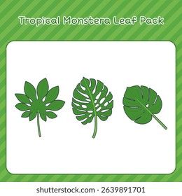A set of tropical monstera leaves in different shapes and styles.