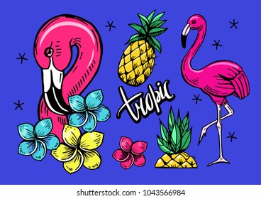 Set of tropical objects with flamingos, pineapple, flowers. Vector illustration