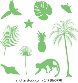 Set of tropical objects, vector