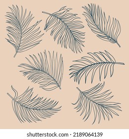 Set of tropical palm leaf. Palm leaves line hand drawn Vector illustration.