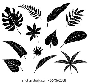 Set of tropical palm leaves, black silhouettes isolated on white background.