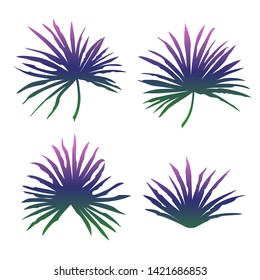 Set of tropical palm leaves isolated on white background. Vector illustration.