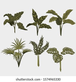 Set. Tropical palm leaves, jungle leaves vector floral pattern background.