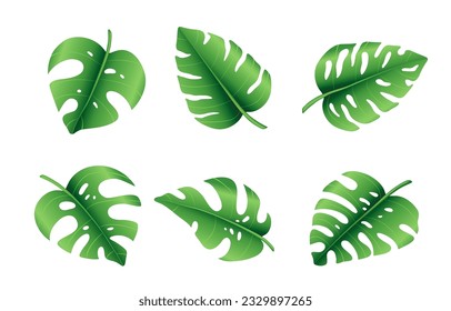 Set of tropical palm leaves, jungle Monstera leaves. Exotic collection of green gradient plant. Hand drawn botanical vector illustration elements isolated on white background