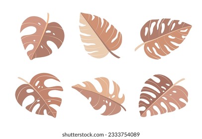 Set of tropical palm leaves, jungle Monstera leaves. Exotic boho collection of earth tone colors plants. Hand drawn botanical vector illustration elements isolated on white background