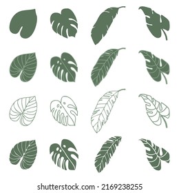 Set of tropical palm leaves in normal view, contours and silhouettes